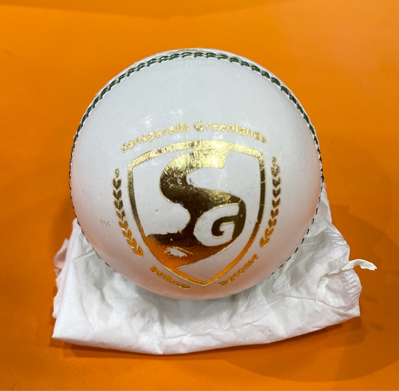 Shield 30 Cricket Ball view 4