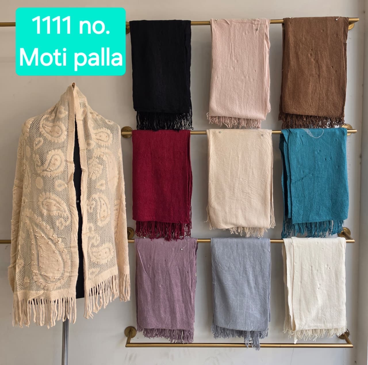 Moti Palla Shawl view 2