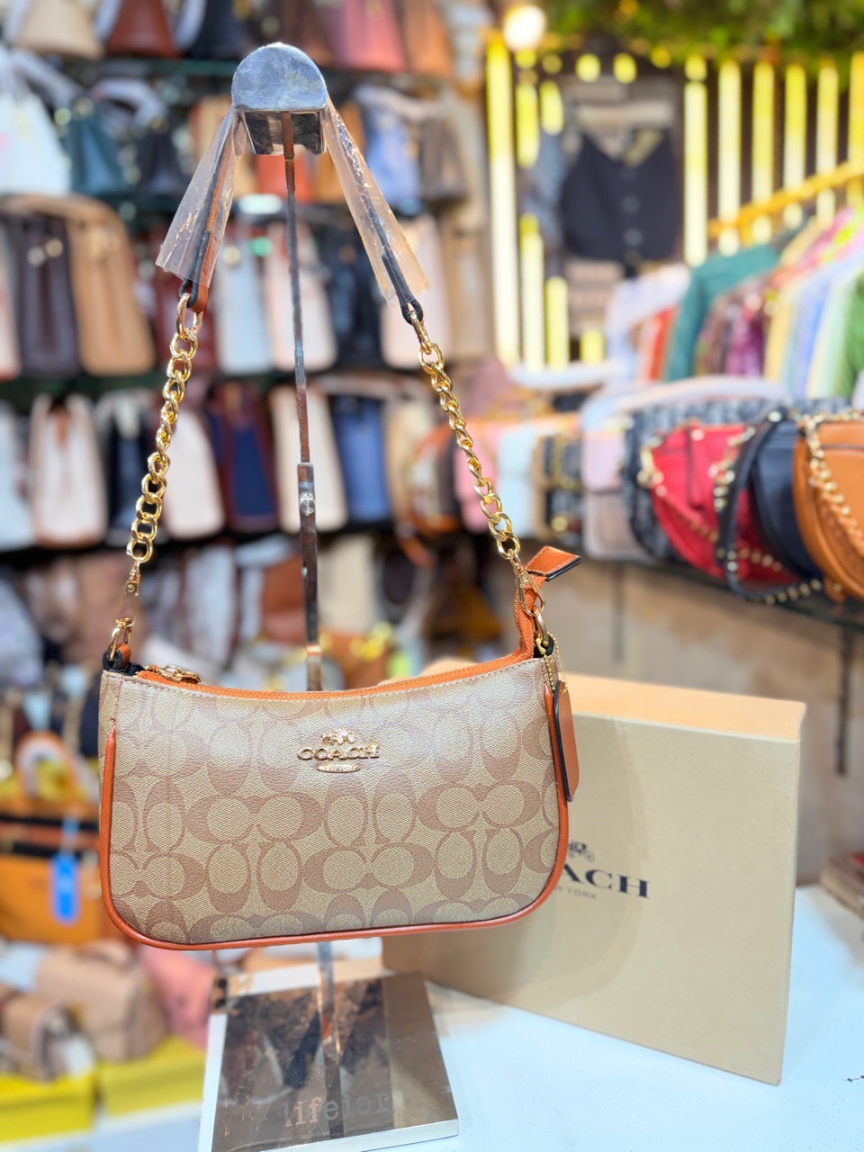 Coach Sig Stripe Pouch view 3