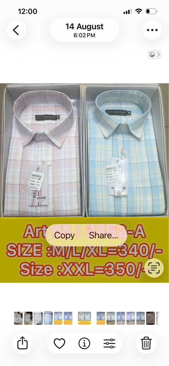 Mensfield Check Shirt view 2